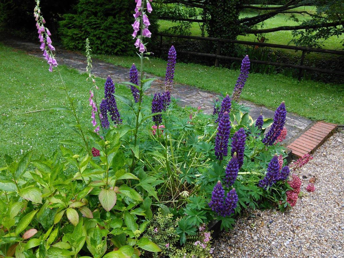 Felbrigg Lodge Bed And Breakfast Aylmerton Extérieur photo
